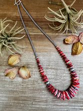 Load image into Gallery viewer, 23&quot; Red Spiny Oyster Graduated Necklace
