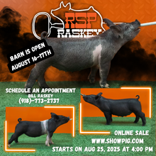 Load image into Gallery viewer, StockShow Flyers/Banners
