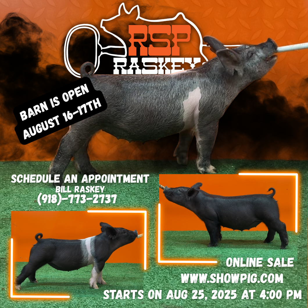 StockShow Flyers/Banners