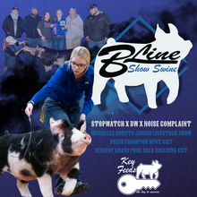 Load image into Gallery viewer, StockShow Flyers/Banners
